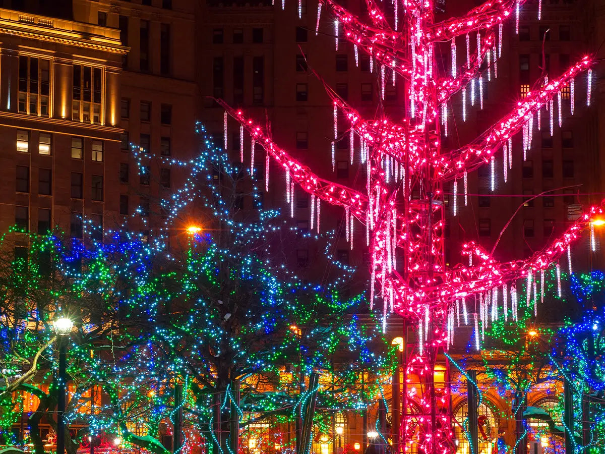 Lumières de glaçons sur les arbres