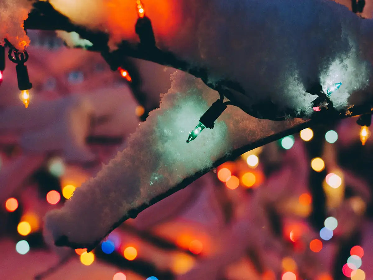 Christmas lights on tree