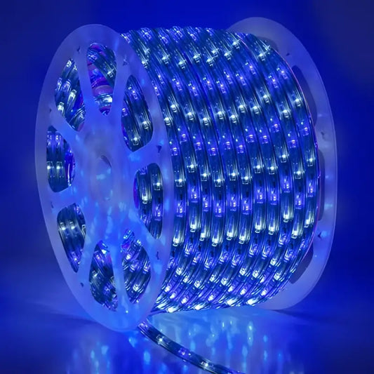 150’ Blue and Cool White LED Rope Light 2 Wire 1/2’’ 120 Volt - Christmas Lights