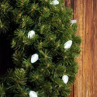 25 C7 Cool White LED Christmas Lights, 8" Spacing, Green Wire [CLOSEOUT]