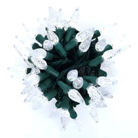 35 C6 Cool White LED Christmas Lights, 4" Spacing, Green Wire [CLOSEOUT]