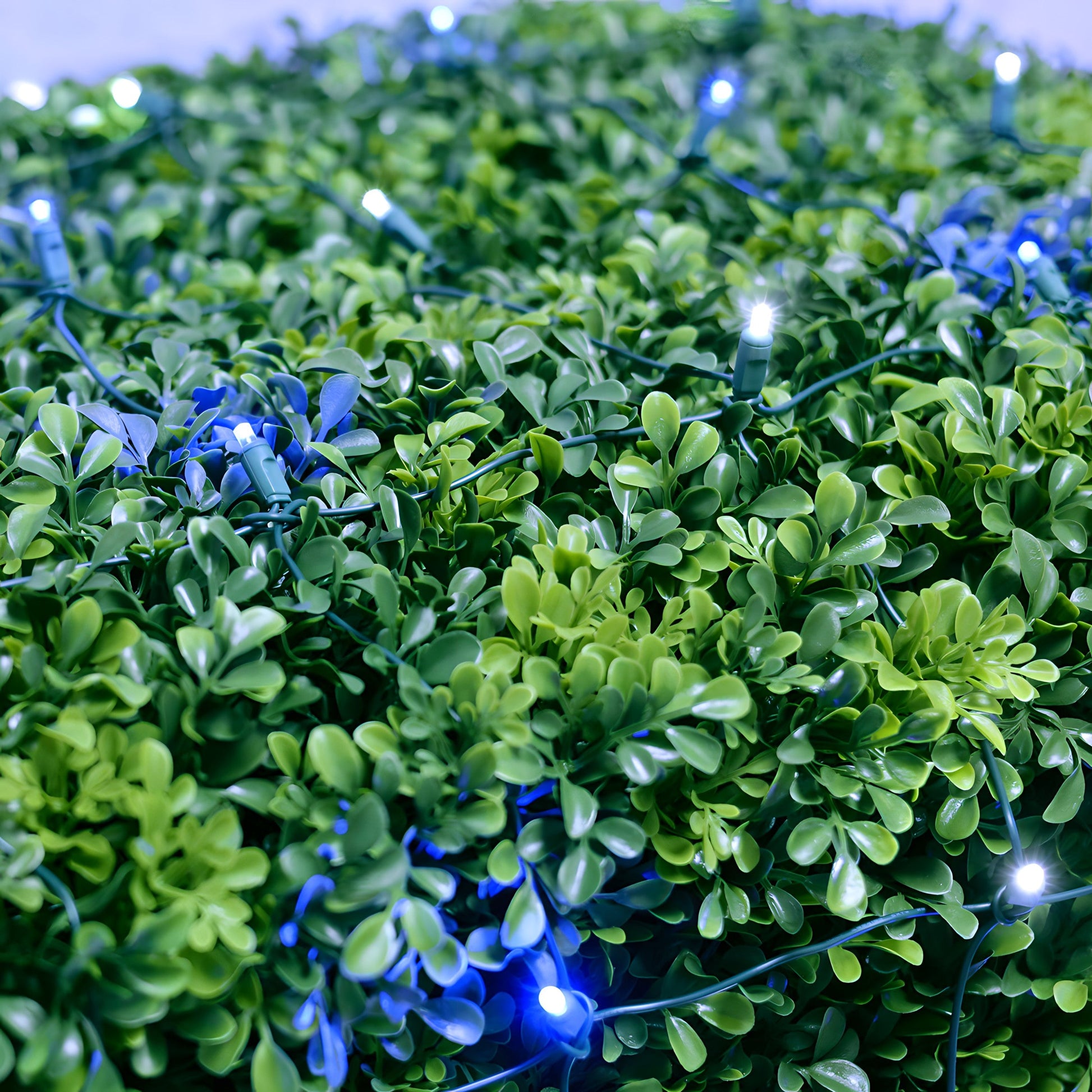 4’ x 6’ Blue and Cool White 5mm LED Smooth Fade DreamSpark Net Lights - Christmas Lights