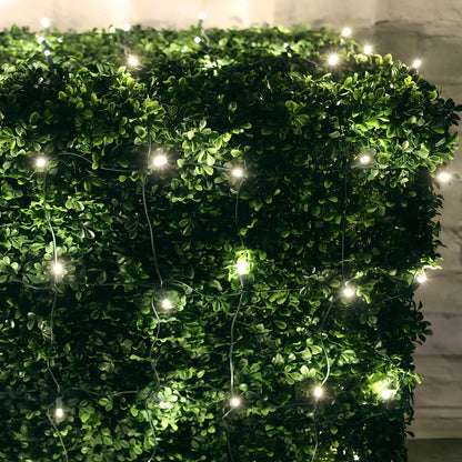 4’ x 6’ Warm White 5mm LED Christmas Net Lights - Christmas Lights