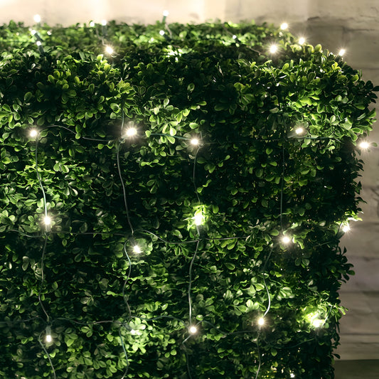 4’ x 6’ Warm White 5mm LED Christmas Net Lights - Christmas Lights