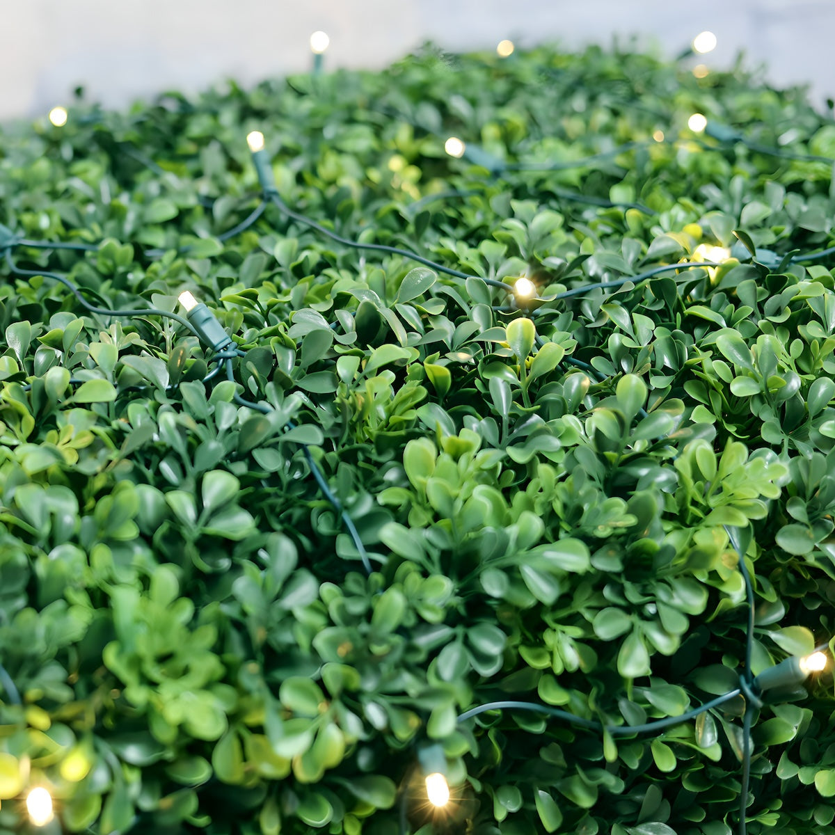 4’ x 6’ Warm White 5mm LED Christmas Net Lights - Christmas Lights