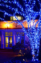 Add some twinkle to your outdoor and patio lighting