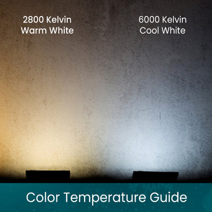 50 5mm Champagne Warm White Pure White Cool White LED Christmas Lights 6’’ Spacing - Christmas Lights