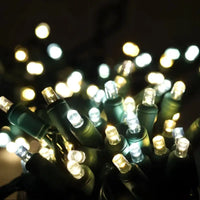 50 5mm ColorSplash Champagne - Warm White, Pure White, and Cool White LED Christmas Lights, 6" Spacing, Green Wire