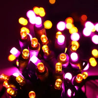50 5mm ColorSplash Candy - Pink, Orange, and Gold LED Christmas Lights, 6" Spacing, Green Wire