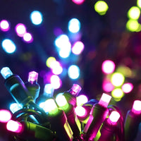 50 5mm ColorSplash Gingerbread - Pink, Teal, Lime Green, and Purple LED Christmas Lights, 6" Spacing, Green Wire