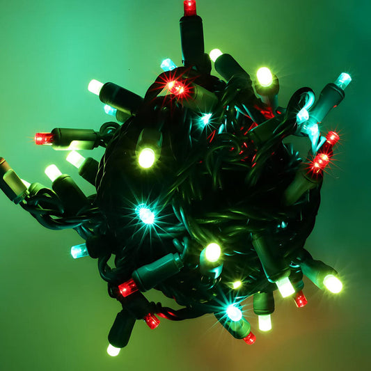 50 5mm ColorSplash Holly 5mm Multicolor LED Christmas Lights 6’’ Spacing - Christmas Lights