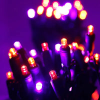 50 5mm ColorSplash Victorian - Red, Orange, and Purple LED Christmas Lights, 6" Spacing, Green Wire