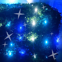 5mm 4' x 6' Arctic - Blue, Cool White, Teal DreamSpark® Smooth Fade LED Net Lights, Green Wire