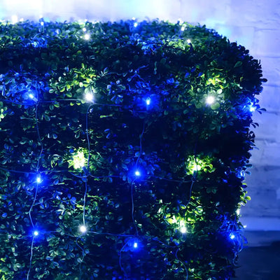 Blue & Cool White 4 by 6 foot LED Christmas net lights