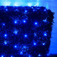 5mm 4' x 6' Blue LED Net Lights, Green Wire