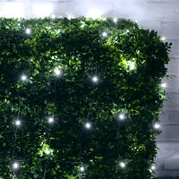 5mm 4' x 6' Cool White LED Net Lights, Green Wire