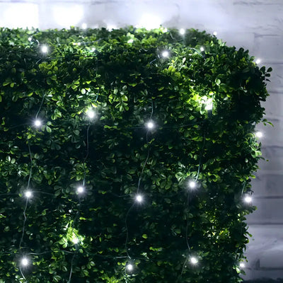 Cool White 4 by 6 foot LED Christmas net lights