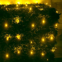5mm 4' x 6' Gold LED Net Lights, Green Wire