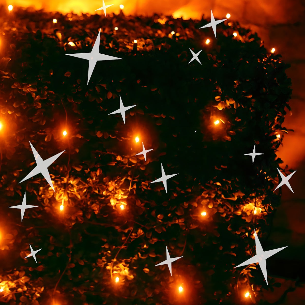 5mm 4’ x 6’ Orange DreamSpark Smooth Fade LED Net Lights - Christmas Lights