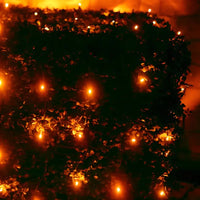 5mm 4' x 6' Orange LED Net Lights, Green Wire