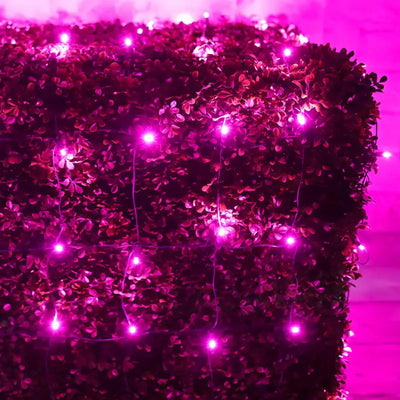 Pink 4 by 6 foot LED Christmas net lights