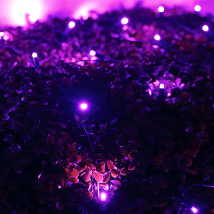 5mm 4’ x 6’ Purple LED Net Lights - Christmas Lights