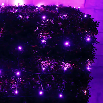 Purple 4 by 6 foot LED Christmas net lights