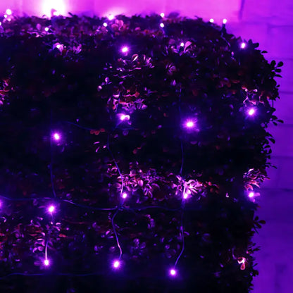 5mm 4’ x 6’ Purple LED Net Lights Christmas Lights