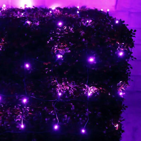 5mm 4’ x 6’ Purple LED Net Lights Green Wire - Christmas Lights
