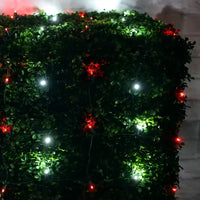 5mm 4' x 6' Red, Cool White LED Net Lights, Green Wire