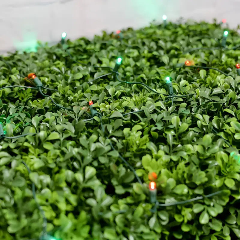 5mm 4’ x 6’ Red Green LED Net Lights - Christmas Lights
