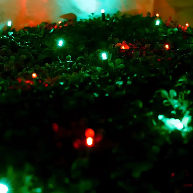 5mm 4’ x 6’ Red Green LED Net Lights - Christmas Lights