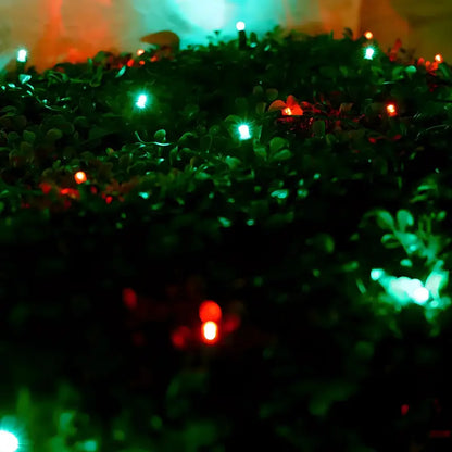 5mm 4’ x 6’ Red Green LED Net Lights - Christmas Lights