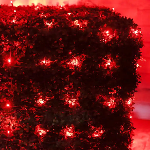 5mm 4’ x 6’ Red LED Net Lights Green Wire - Christmas Lights