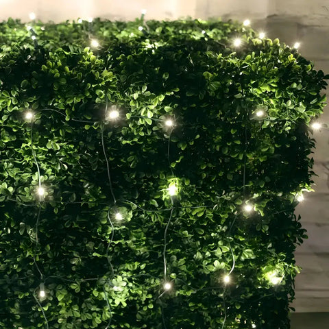 5mm 4’ x 6’ Warm White LED Net Lights Green Wire - Christmas Lights