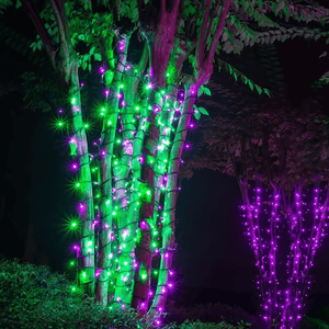 5mm Halloween Purple and Green LED Christmas Lights, 70 Bulbs, 4" Spacing, Black Wire Christmas Lights Wintergreen Corporation