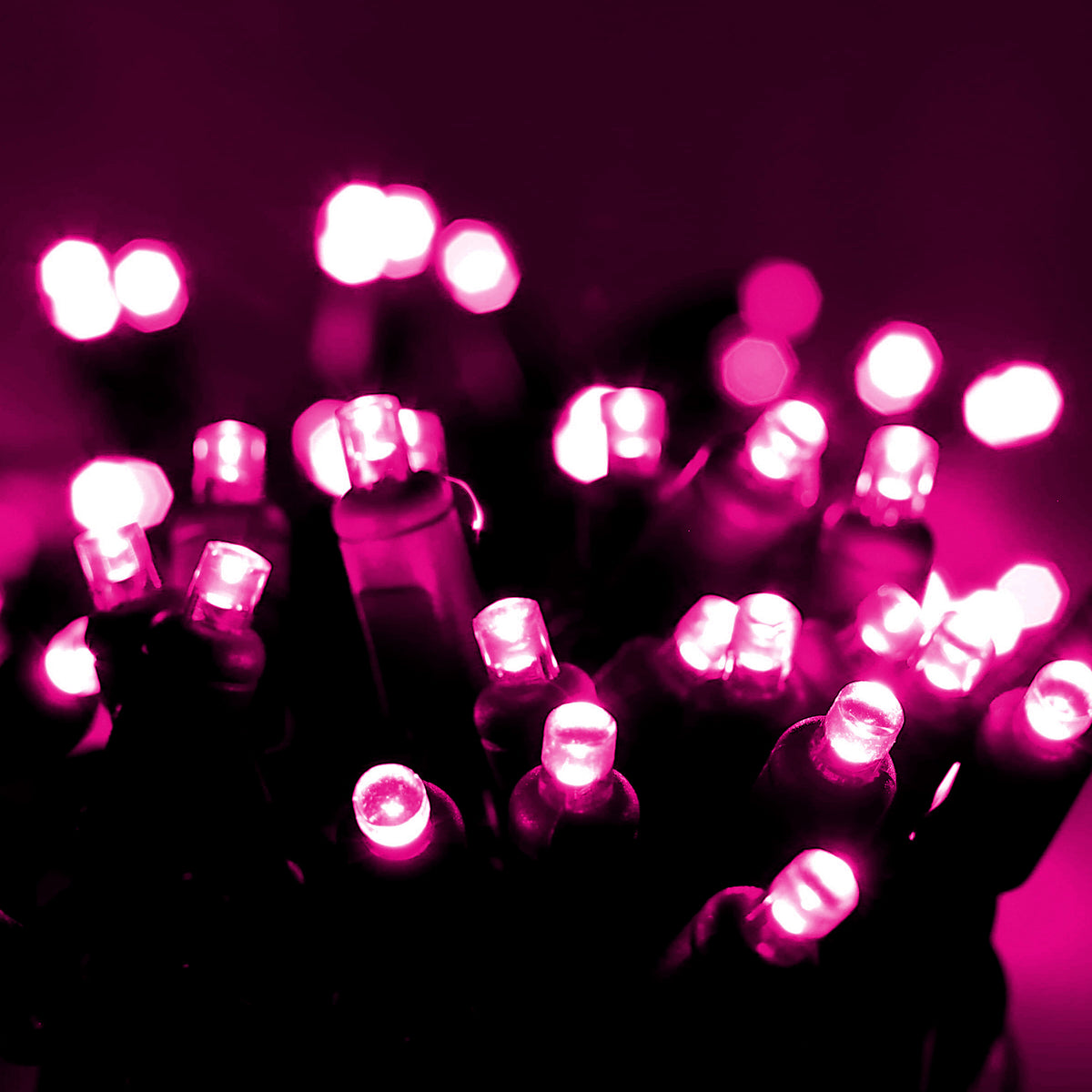 70 5mm Pink LED Christmas Lights, 4" Spacing, Green Wire