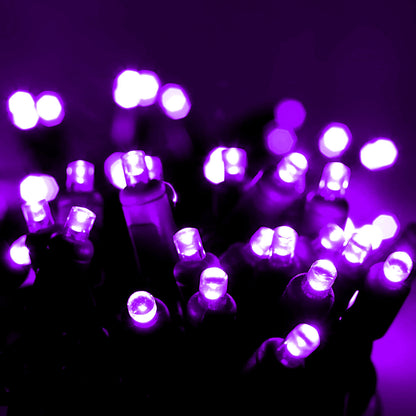 35 5mm Purple LED Christmas Lights, 4" Spacing, Green Wire [CLOSEOUT]