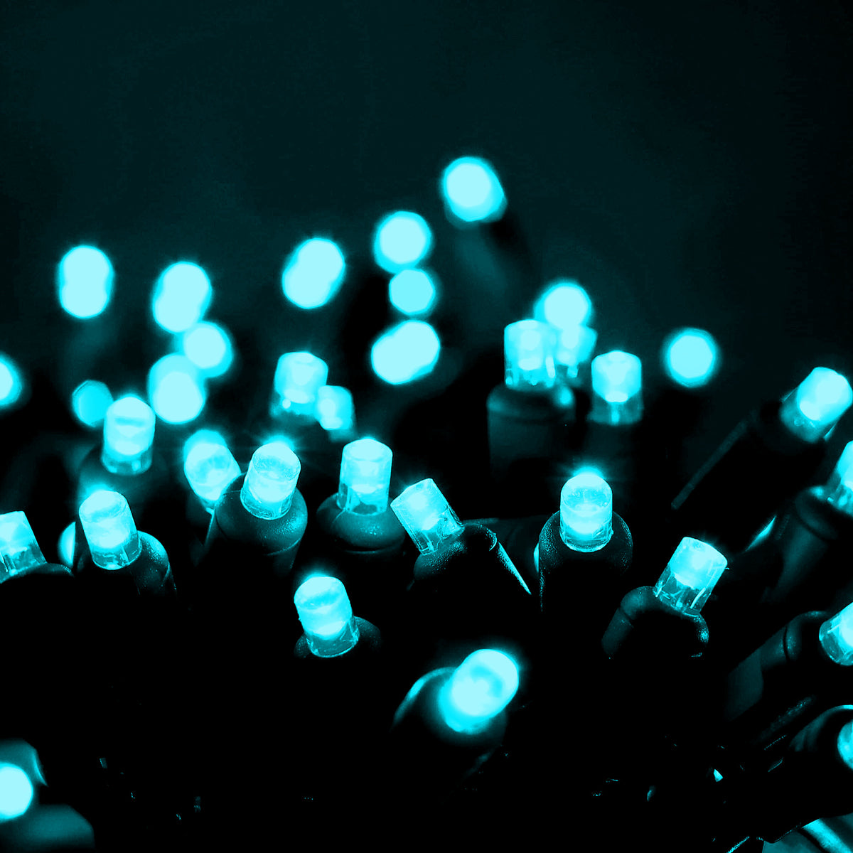 70 5mm Teal LED Christmas Lights, 4" Spacing, Green Wire