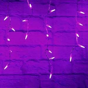 M5 Purple LED Icicle Lights, 70 Bulbs, 7.5ft Long, White Wire