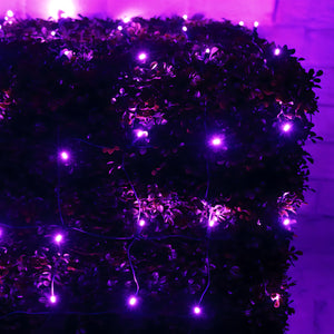 4' x 6' Purple 5mm LED Christmas Net Lights