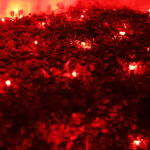 4' x 6' Red 5mm LED Christmas Net Lights