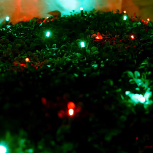 4' x 6' Red and Green 5mm LED Smooth Fade DreamSpark Net Lights