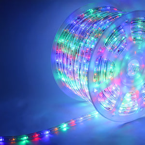 Rope Light, Multicolor, 1/2" LED, 150' Spool