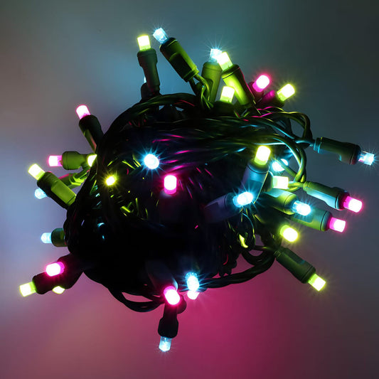 50 5mm ColorSplash Havana Multicolor LED Christmas Lights, 6" Spacing