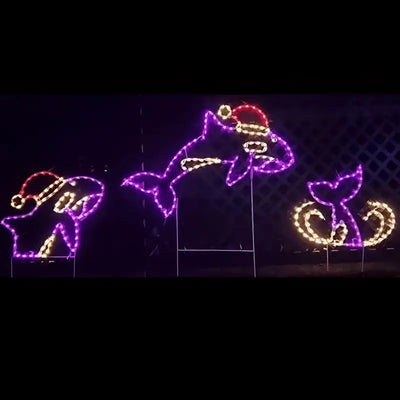 Nautical lighted wireframe display