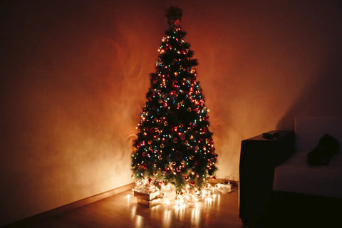 Popular Christmas Traditions and Their Origins