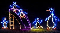 LED Christmas Lights