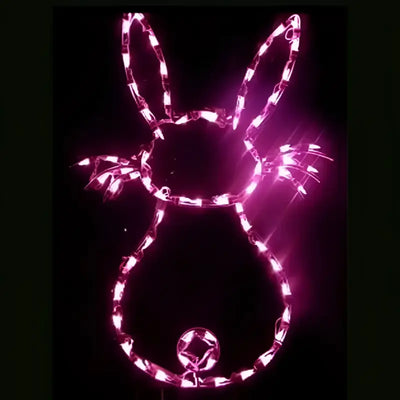 Easter lighted wireframe display