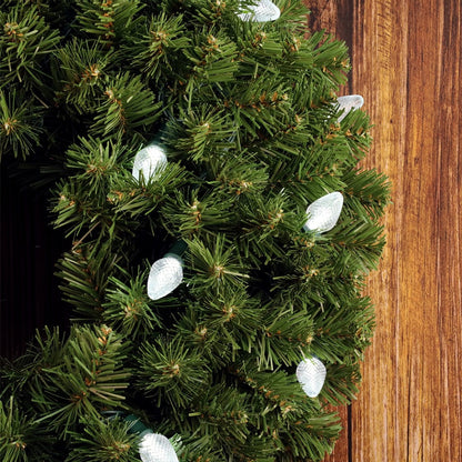 C7 Cool White LED Christmas Light Bulb String Light Set Faceted 8’’ Spacing 25 Non Removable Bulbs - Christmas Lights